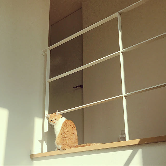 Yさんの実例写真
