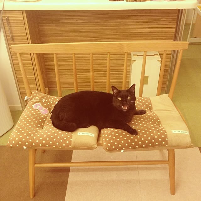 Tippiさんの実例写真