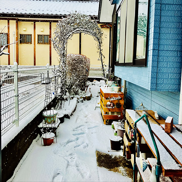 CoCo617さんの実例写真