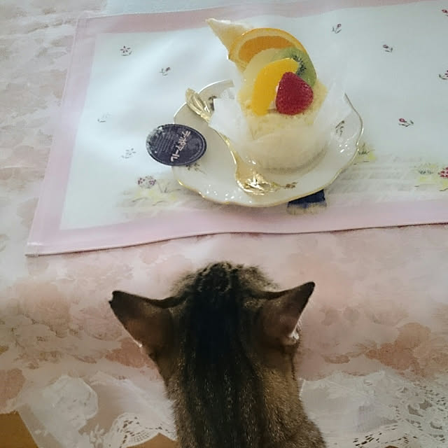 lilyさんの実例写真