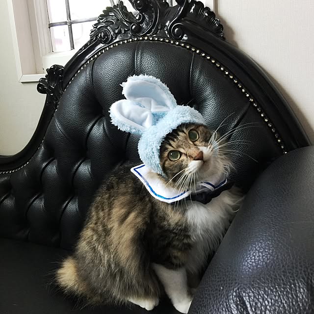 yuchiさんの実例写真