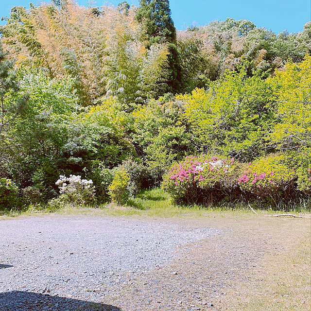shunさんの実例写真