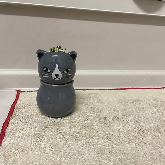 meruさんの部屋