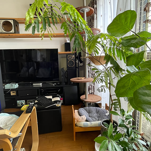nekohagu2022さんの実例写真