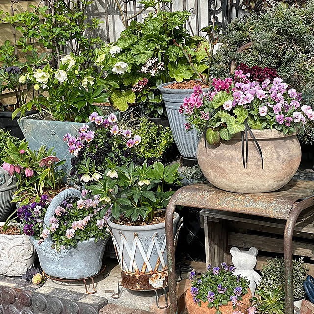 shiropenguinさんの部屋