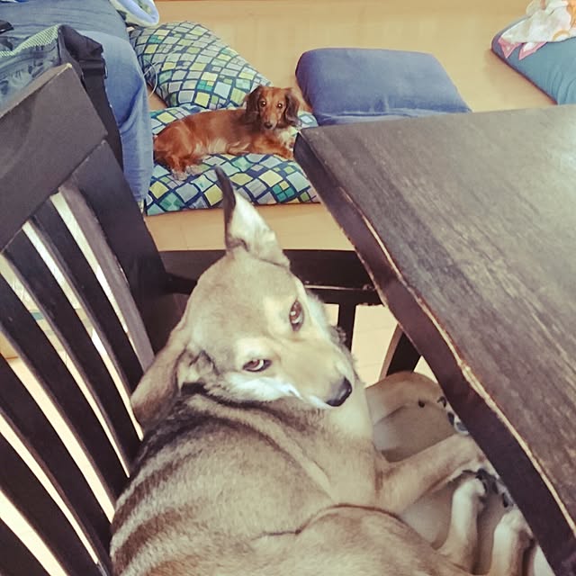 andさんの実例写真