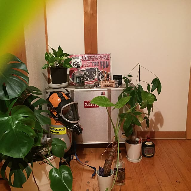 実例写真