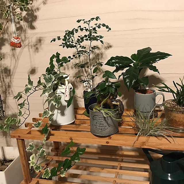 kojirohさんの実例写真