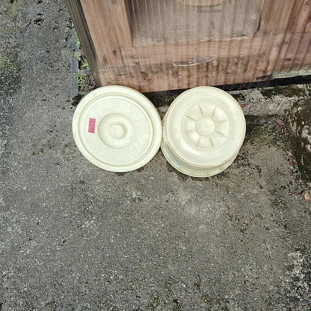 aoinokimiさんの部屋