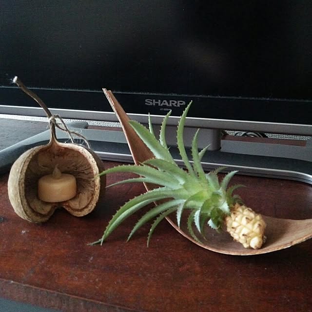Kayocchiiさんの実例写真