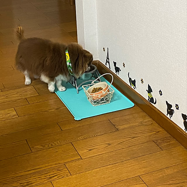 chIoeさんの実例写真
