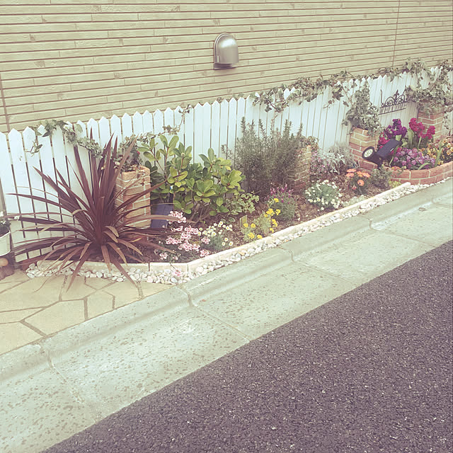 Mikiさんの実例写真