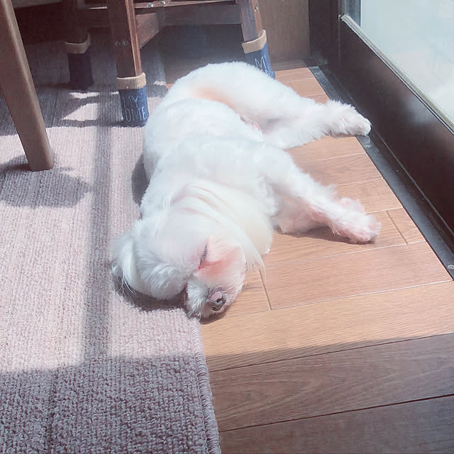 pino1227さんの実例写真