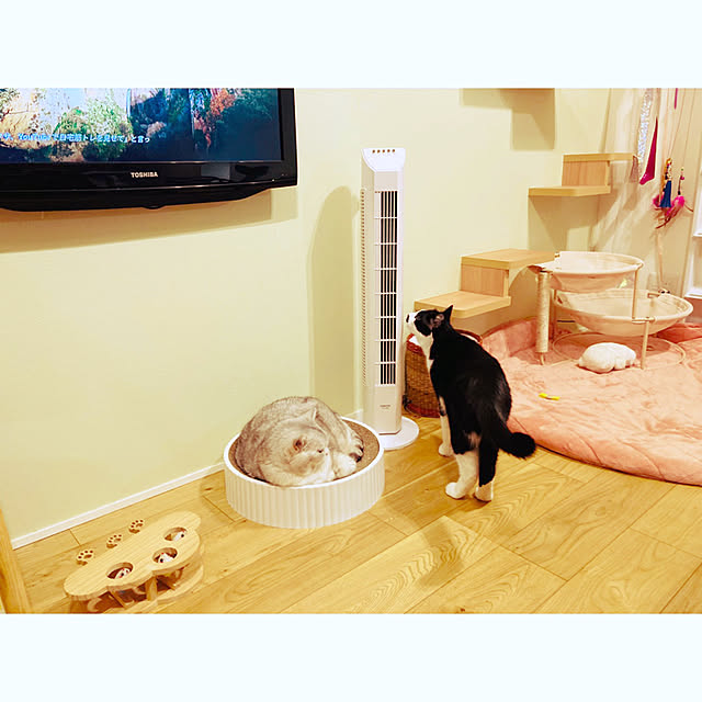 sakura_171220さんの実例写真