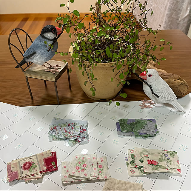 kakoさんの実例写真