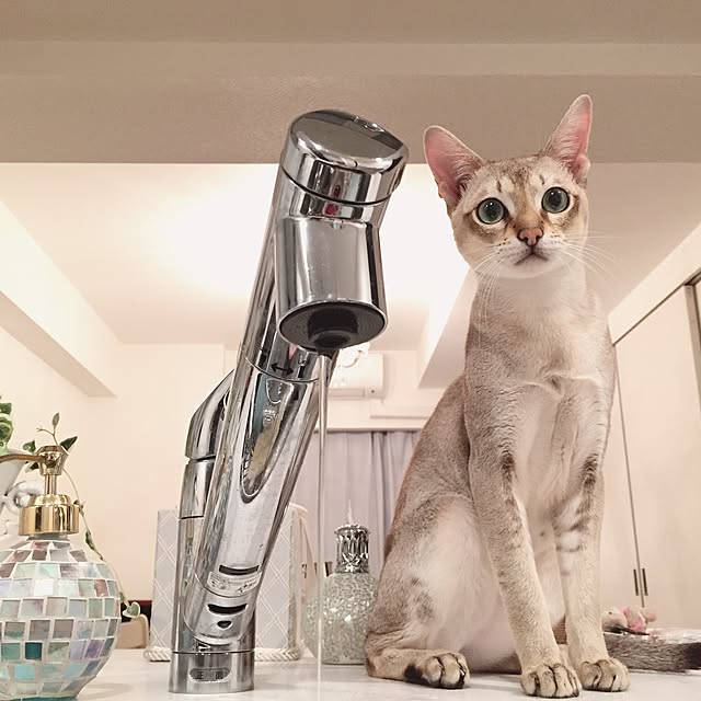 a-mkさんの実例写真