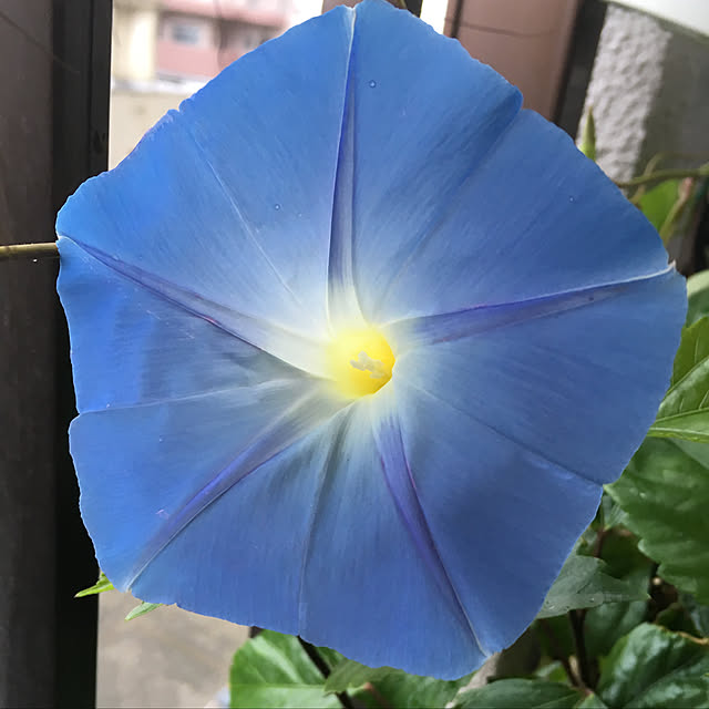 nanaさんの実例写真