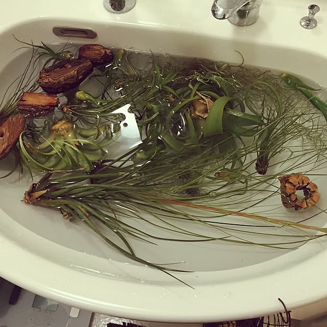 chibabababaさんの実例写真