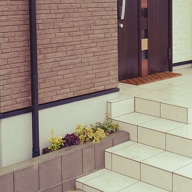 Masmiさんの実例写真