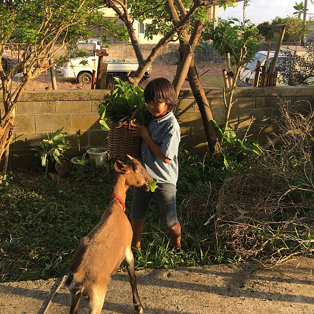 nishibaruyaさんの実例写真