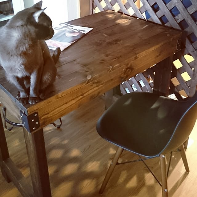 Shianさんの実例写真