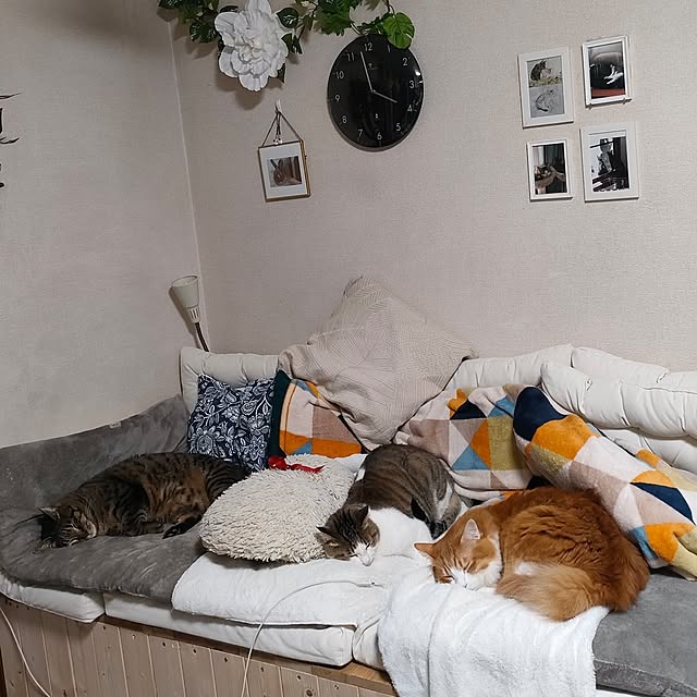 mori_6_12さんの実例写真