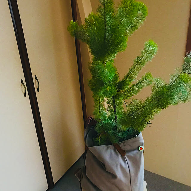 castellan1123さんの部屋