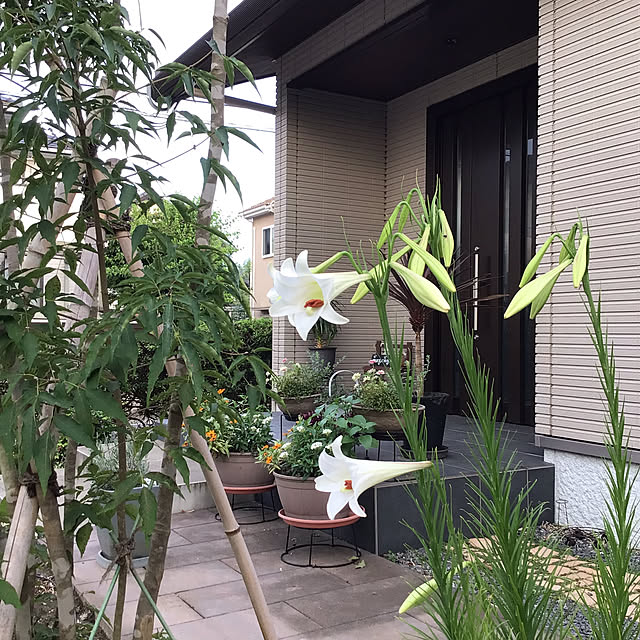 houenさんの部屋