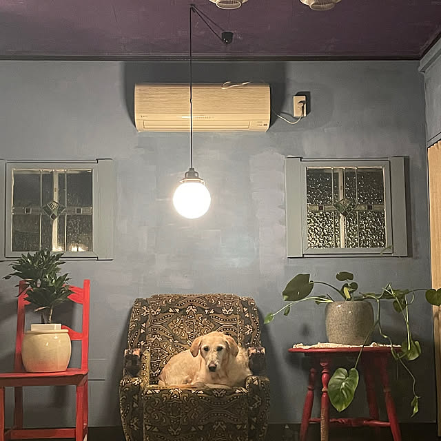 joshua.treeさんの実例写真