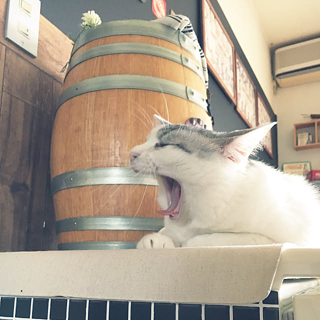 Miechamさんの実例写真
