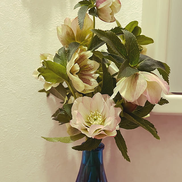 yuuumyさんの実例写真