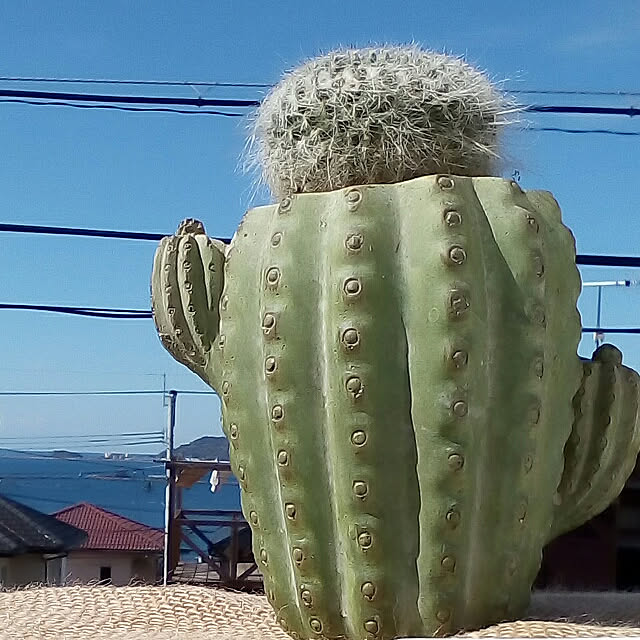 mariagardenさんの実例写真