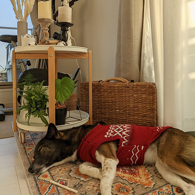 flannel.さんの実例写真