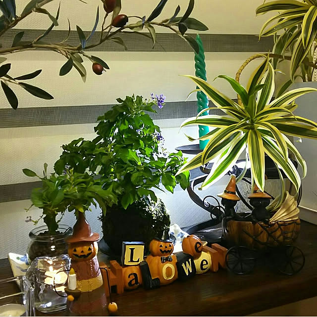 chikoyuさんの実例写真
