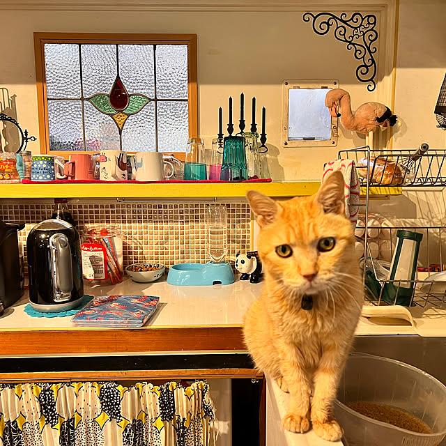 YYIさんの実例写真