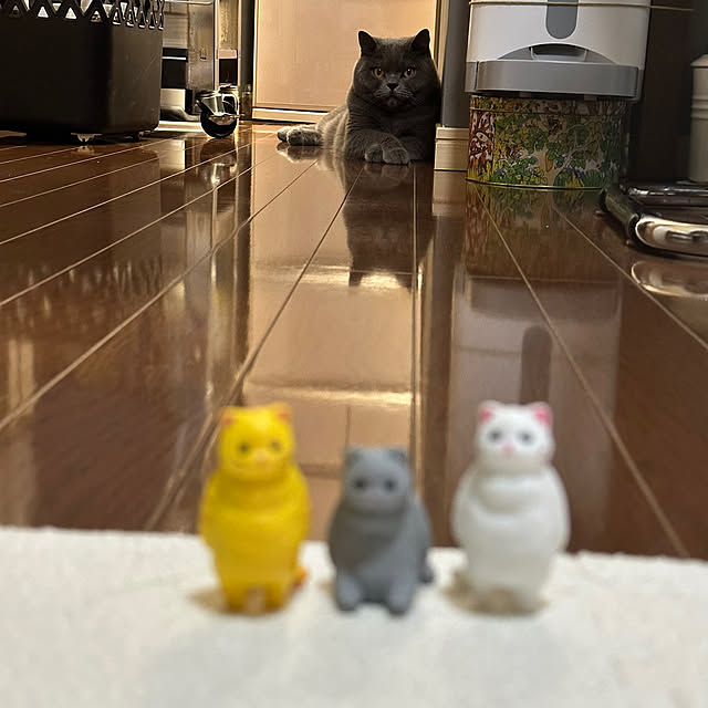kittyさんの部屋