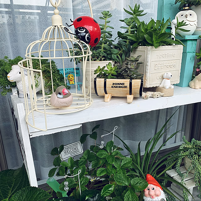 Chhhiさんの実例写真