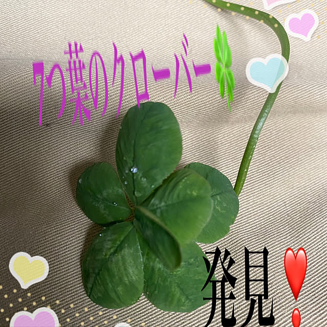 tsun-28さんの実例写真
