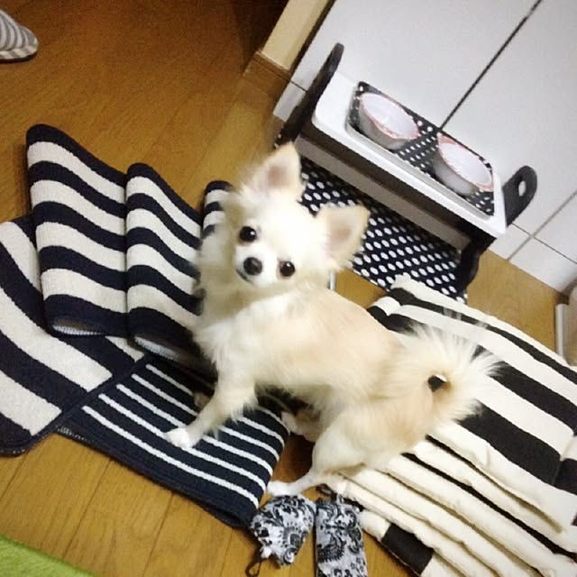 honeyさんの実例写真