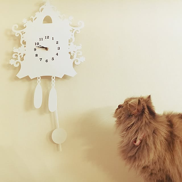 musicsukiさんの実例写真