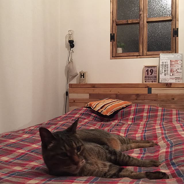 beansさんの実例写真