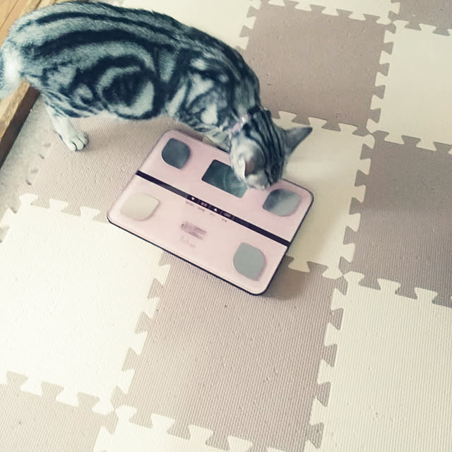 fruityanさんの実例写真