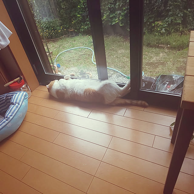 0617さんの実例写真
