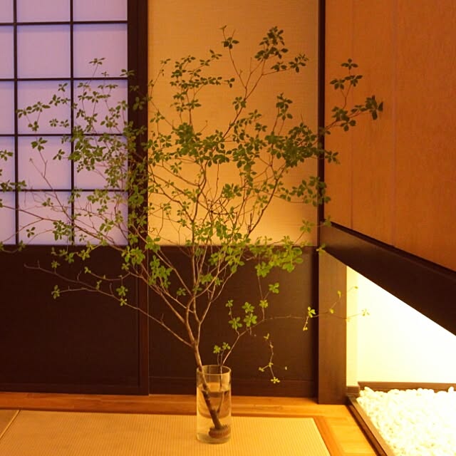 Hisashiさんの実例写真