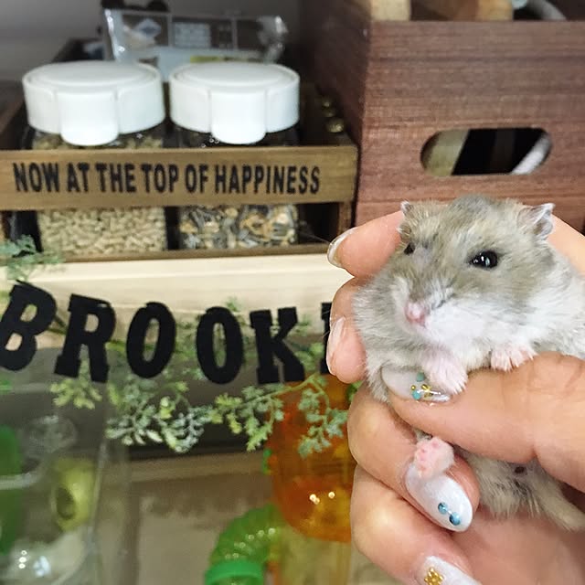 hamtaさんの実例写真