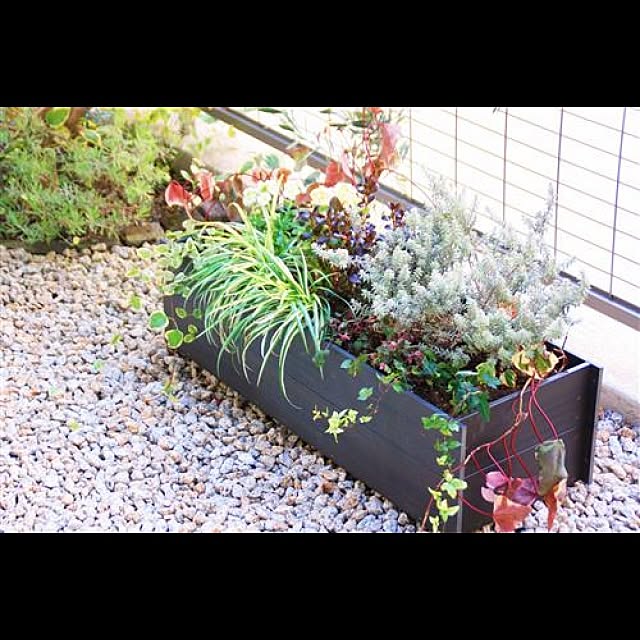 garden_life_saiさんの実例写真