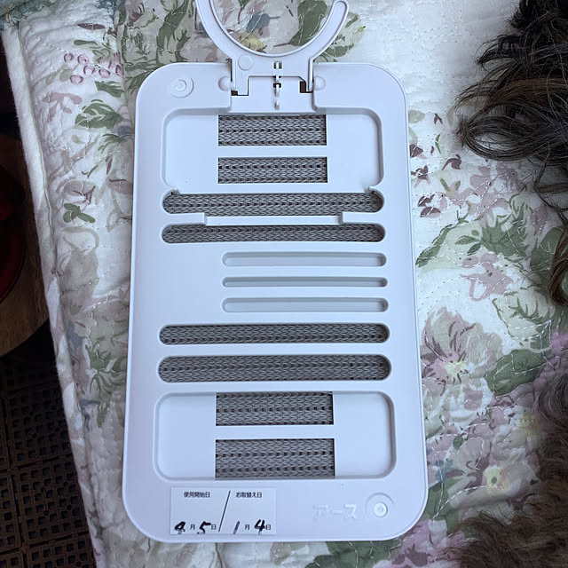 taeさんの部屋