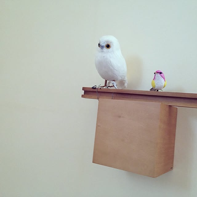 kosameさんの実例写真