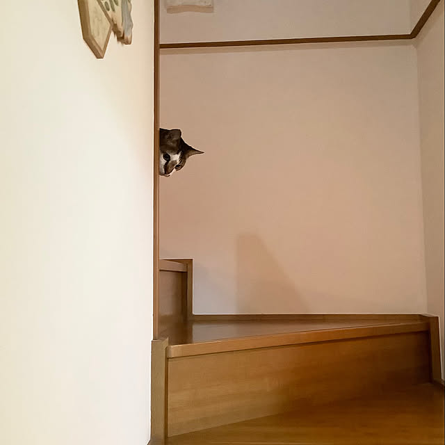 haruminさんの部屋
