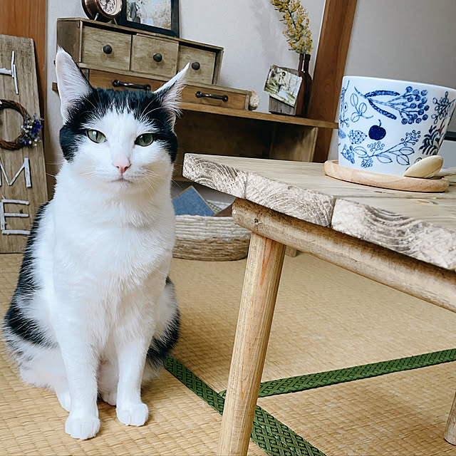 harukaさんの実例写真